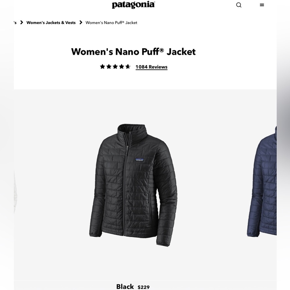 Patagonia women’s nano puff jacket